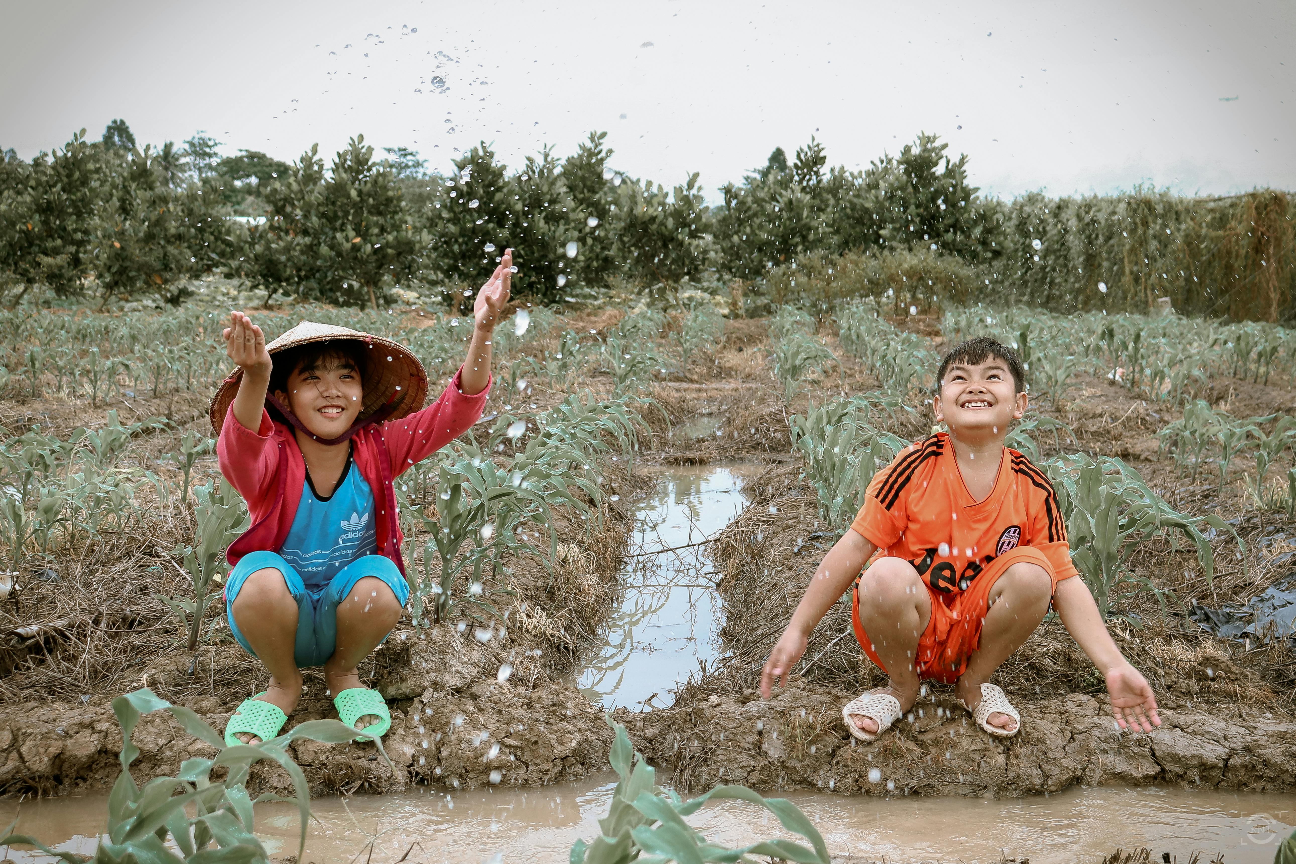 Children exploring nature